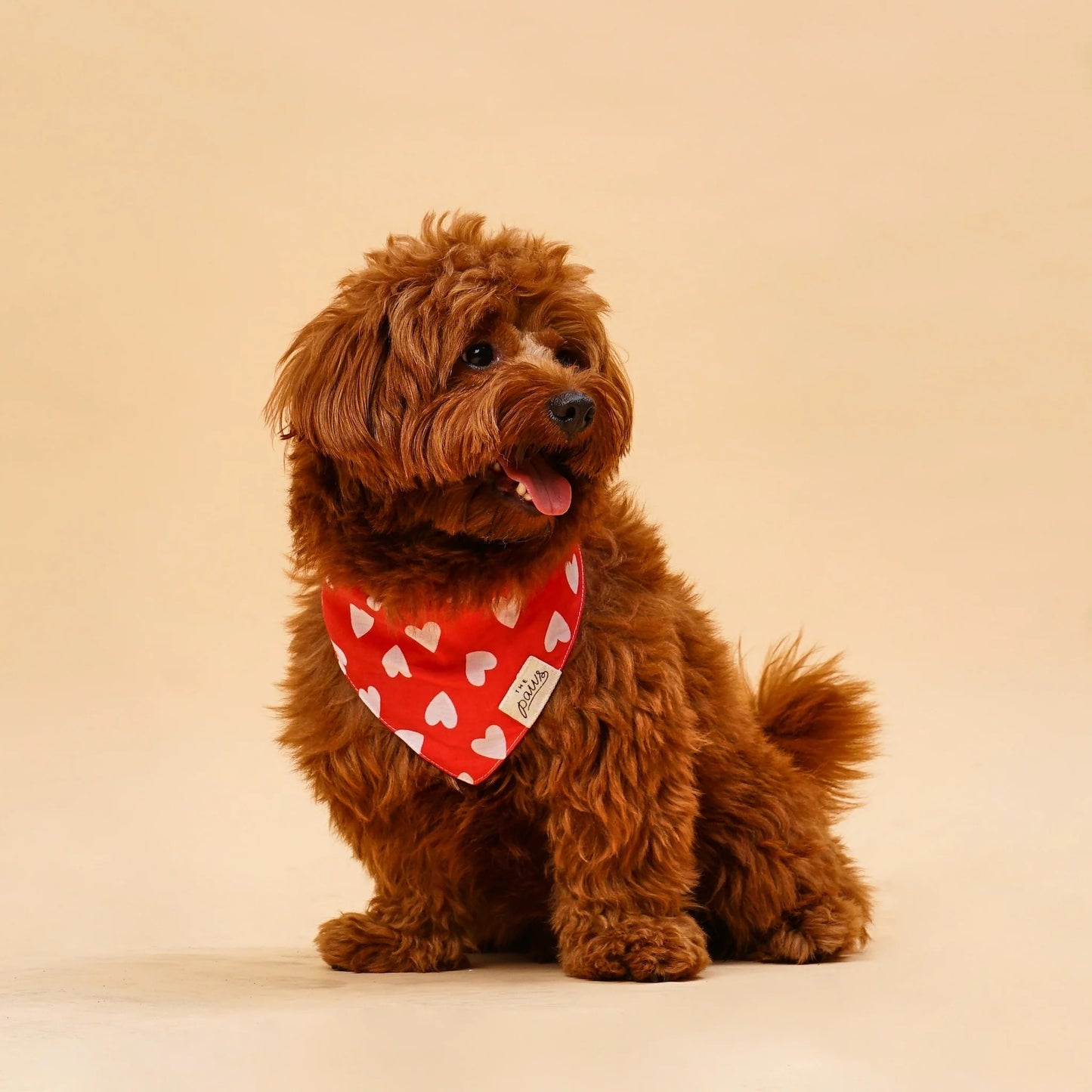 NANA DOG BANDANA