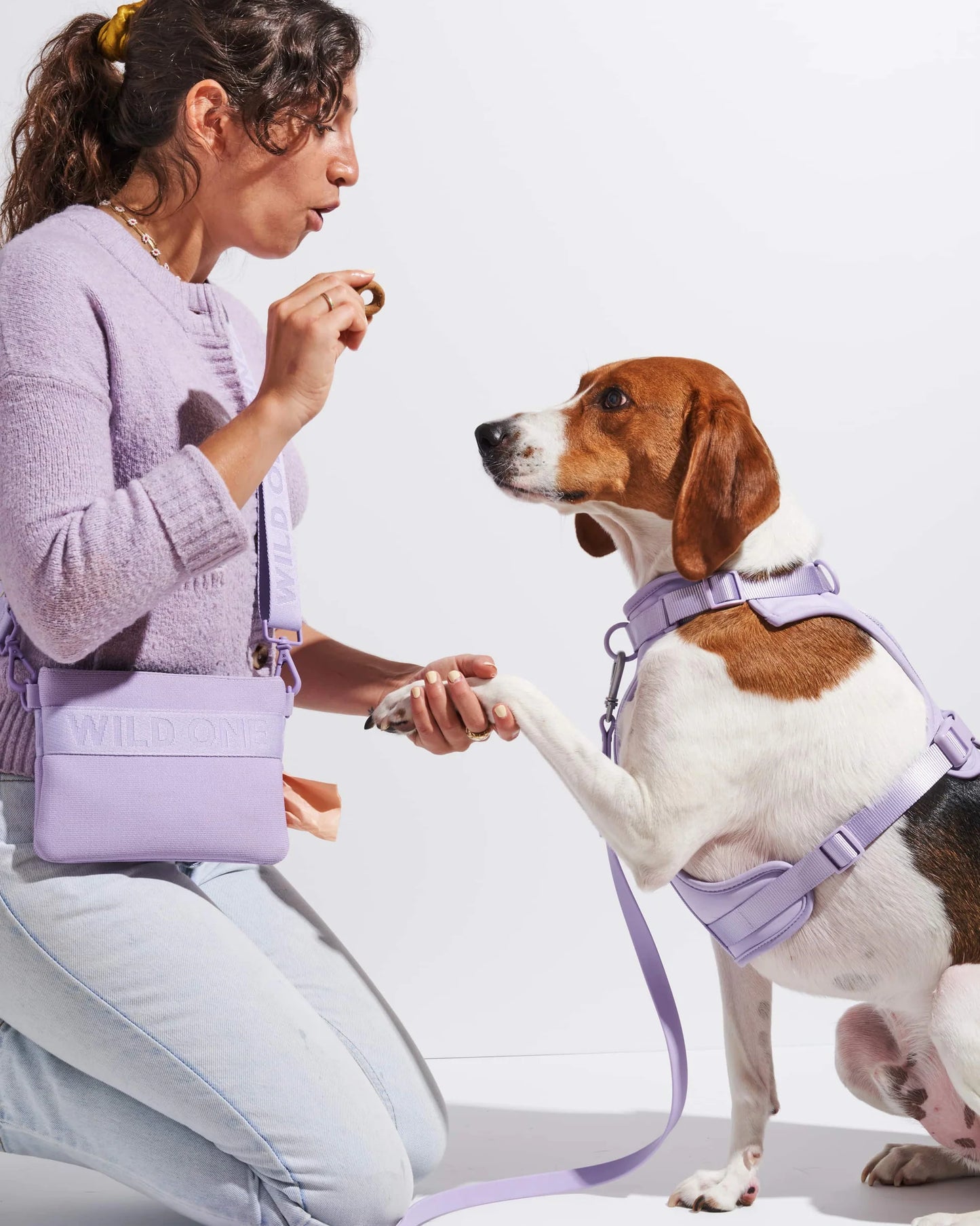 WILDONE TREAT POUCH