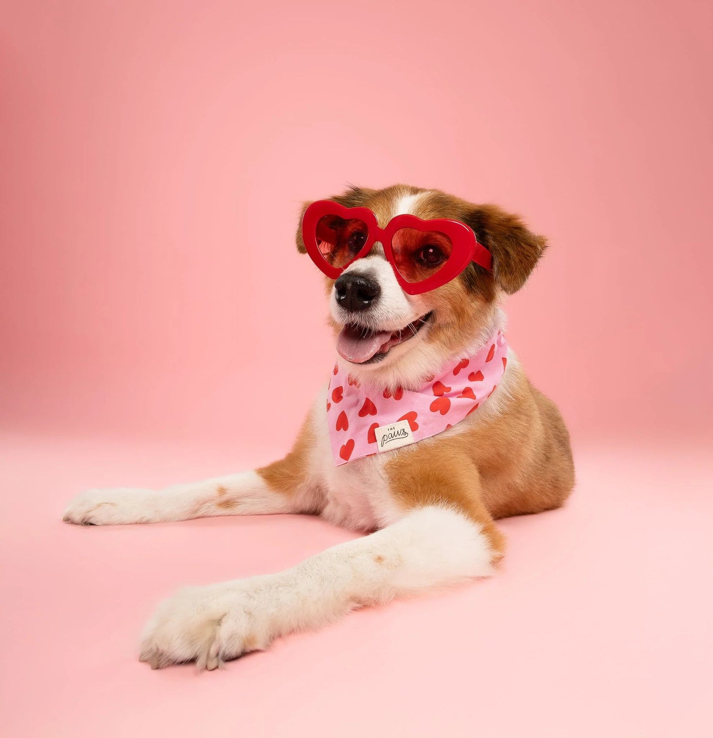 LOVESONG DOG BANDANA
