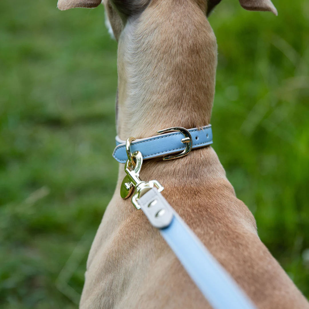 NINA WOOF CUPERTINO LEASH-BLUE