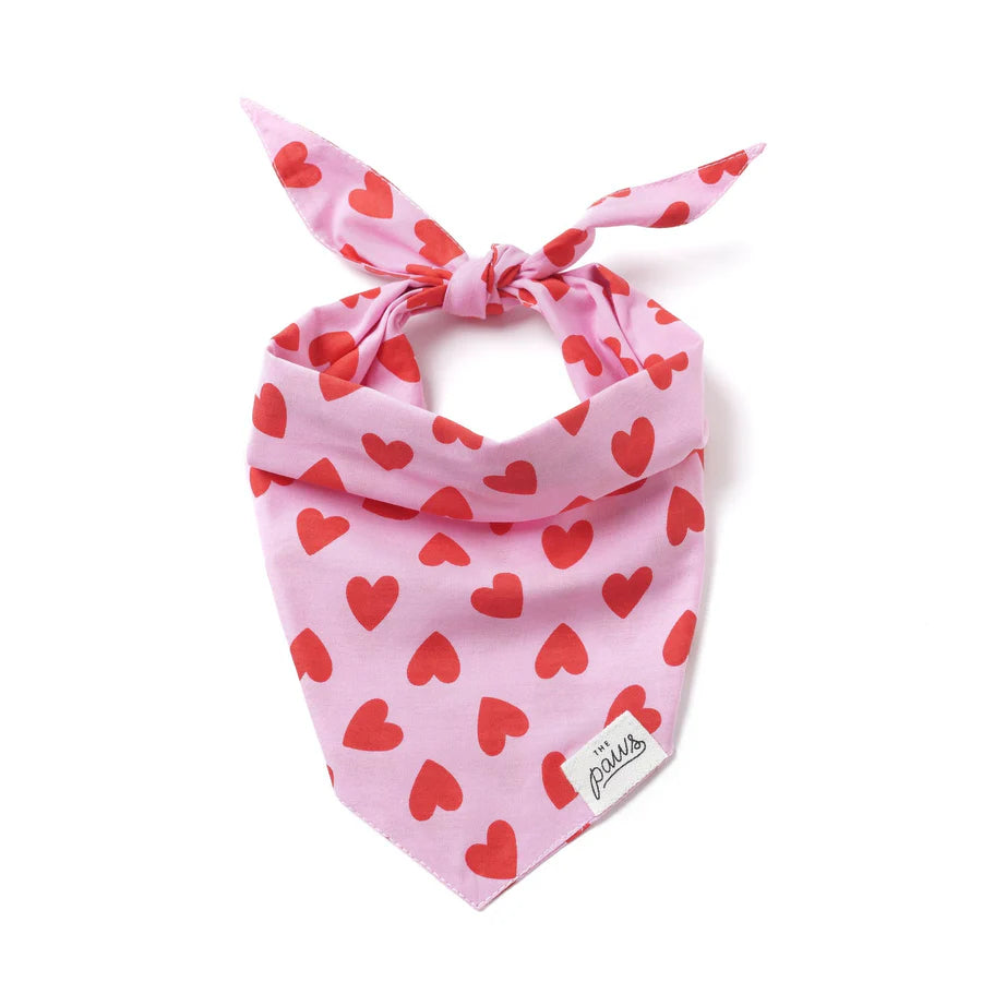 LOVESONG DOG BANDANA