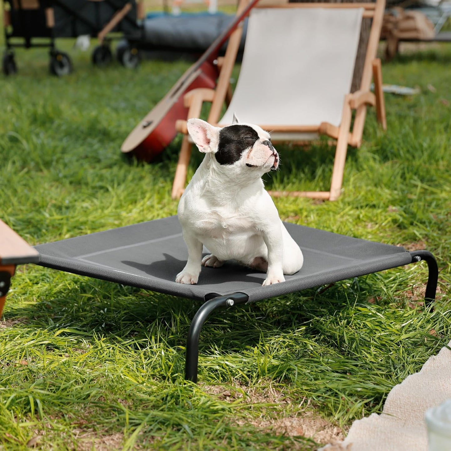 CAMA ELEVADA PARA PERROS MEDIANOS
