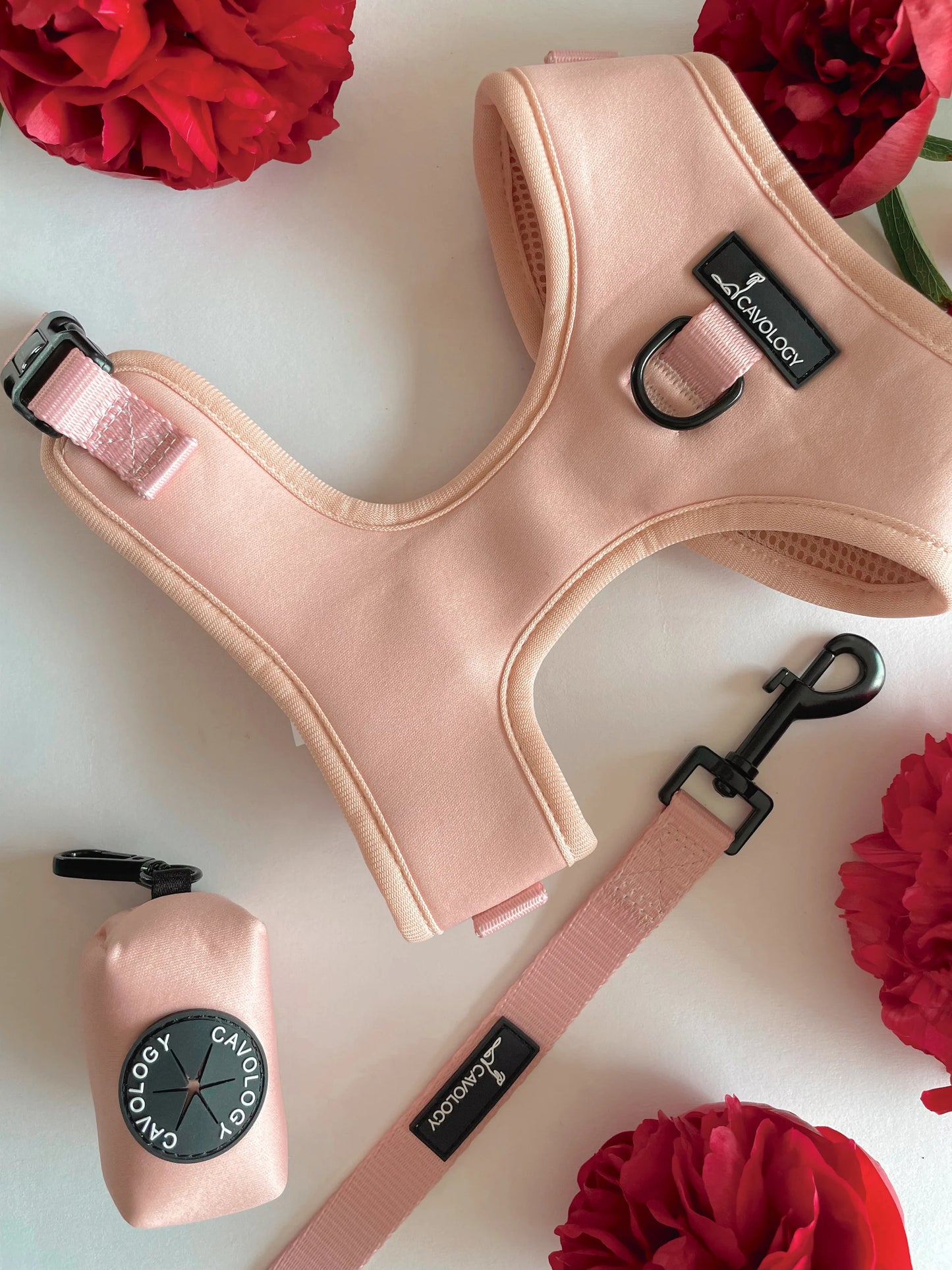ADJUSTABLE HARNESS BLUSH