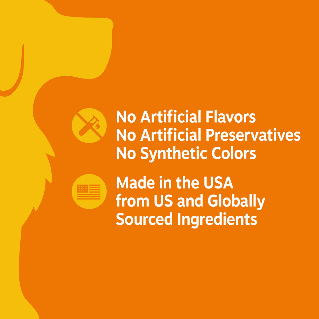 SENIOR ADVANCED 11-IN-1 MULTIVITAMIN BITES FOR SENIOR DOGS