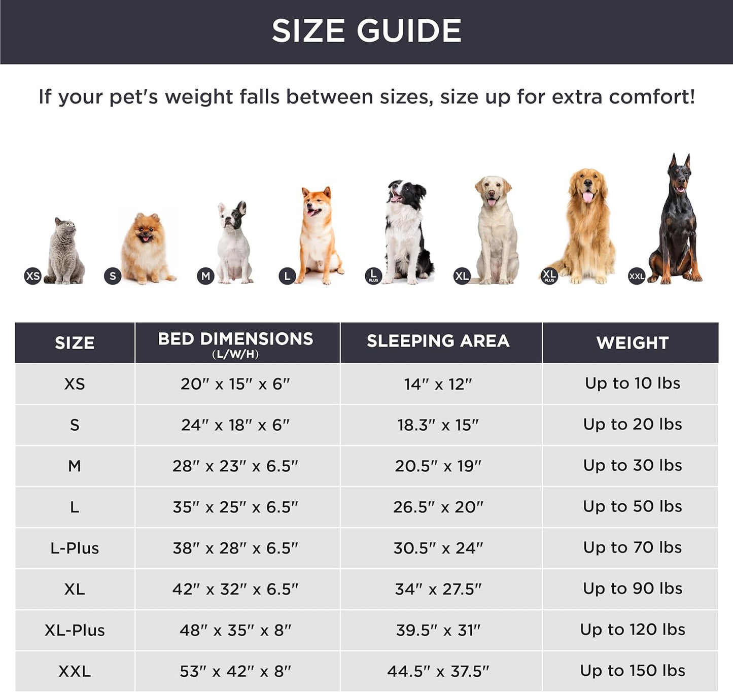 CAMA ORTOPÉDICA ESTILO SOFÁ PARA PERROS MEDIANOS