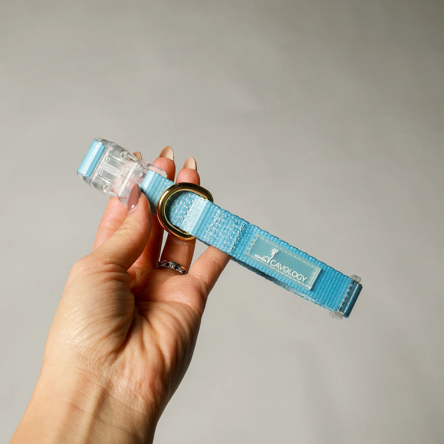 COLLAR - EVERYDAY TEAL