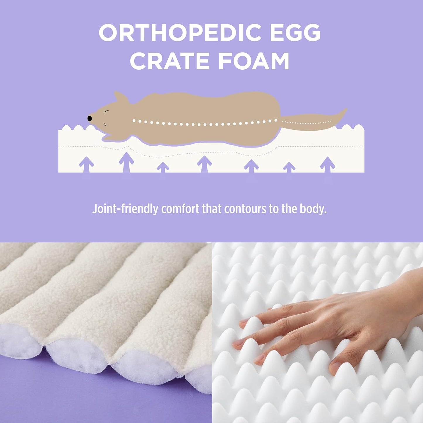 CAMA ORTPÉDICA DE FELPA ESTILO SOFÁ PARA PERROS MEDIANOS