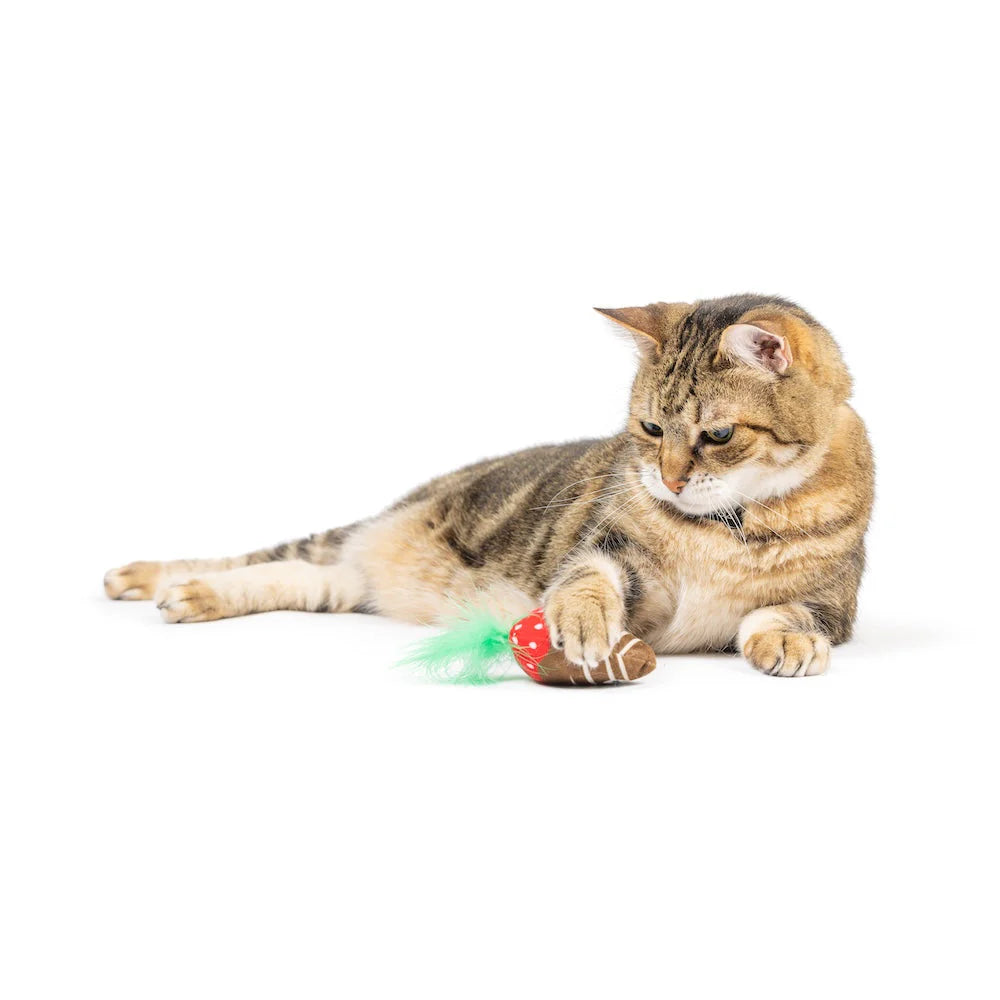 CHOCOLATE STRAWBERRY CAT TOY