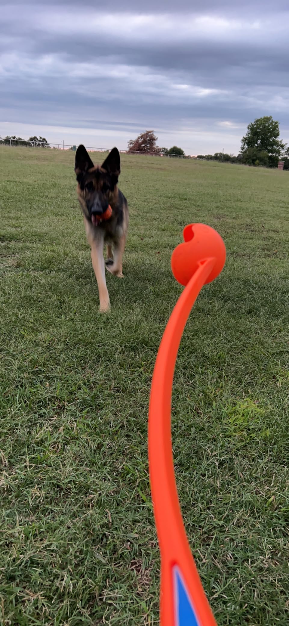 CHUCKIT CLASSIC DOG BALL LAUNCHER