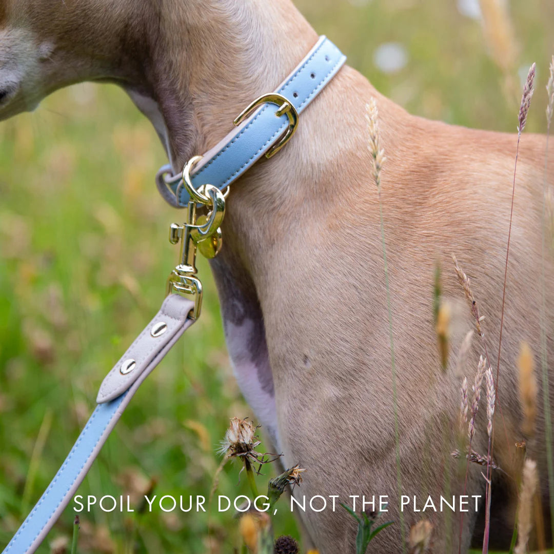 NINA WOOF CUPERTINO LEASH-BLUE