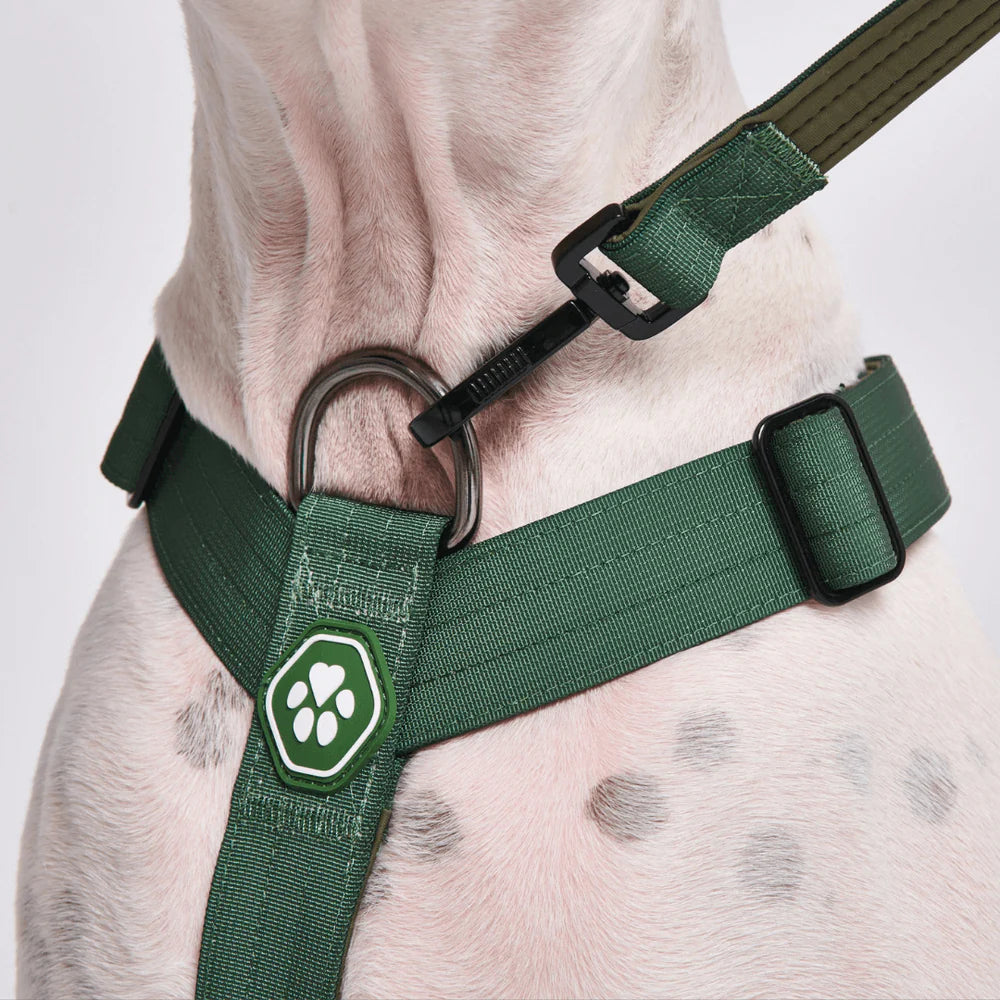COMFORT CONTROL NO-PULL DOG HARNESS ARMY GREEN