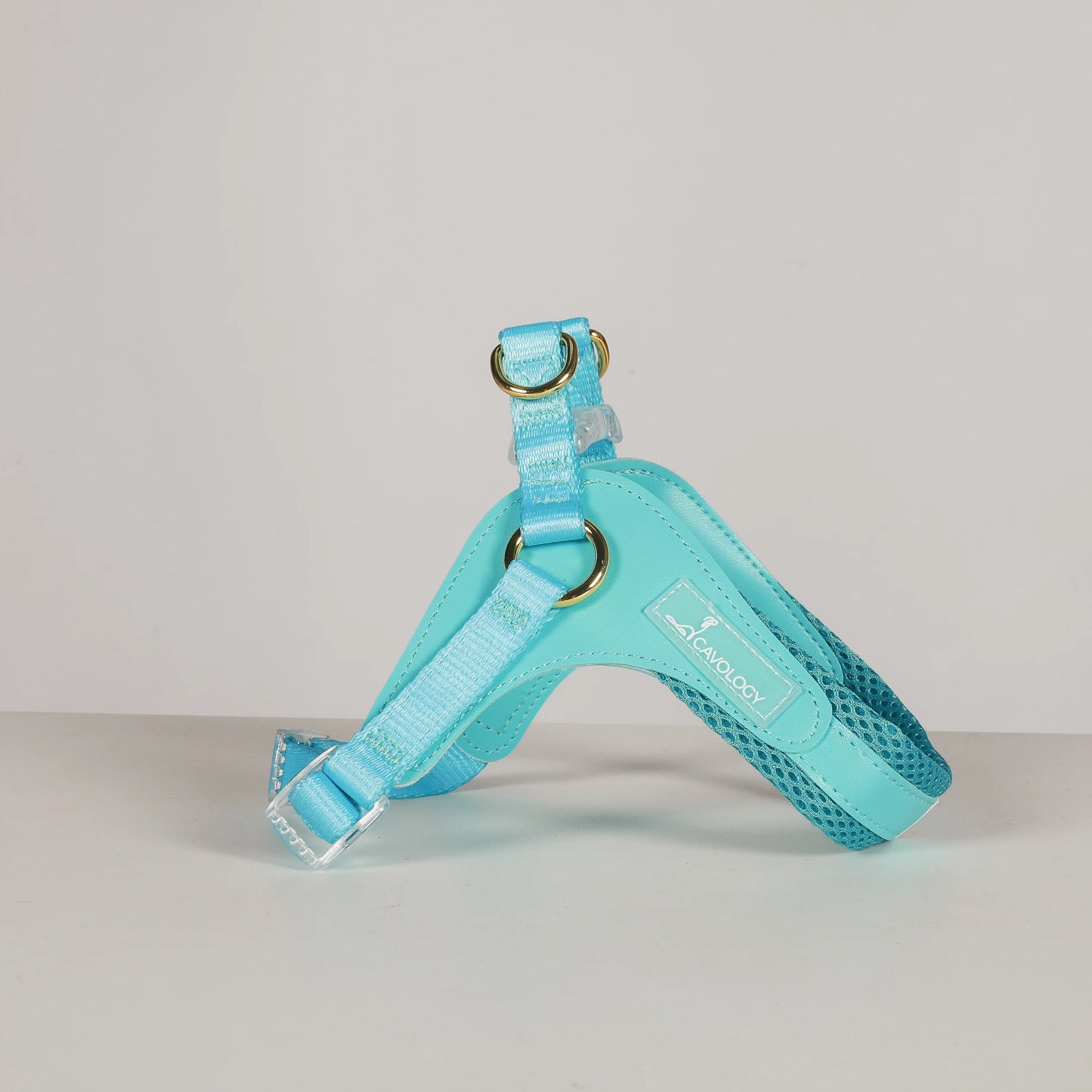 EASY-O STEP IN HARNESS TEAL