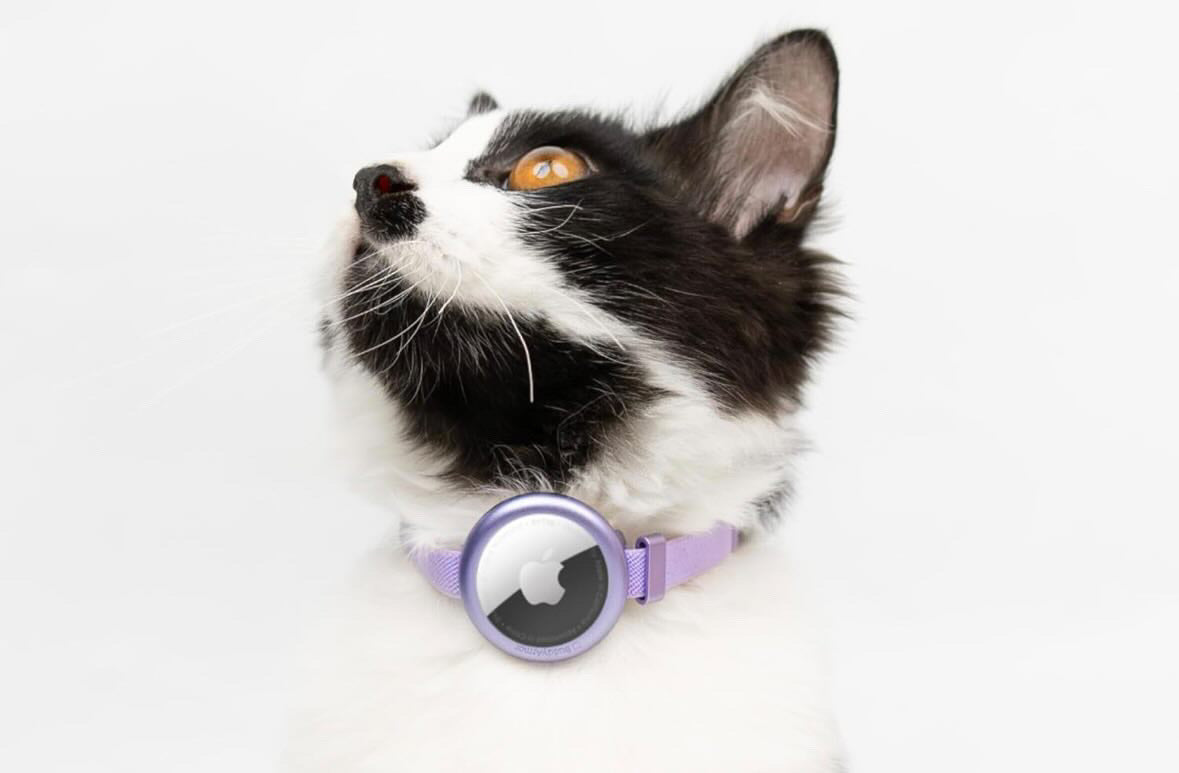 AIRTAG HOLDER CAT COLLAR