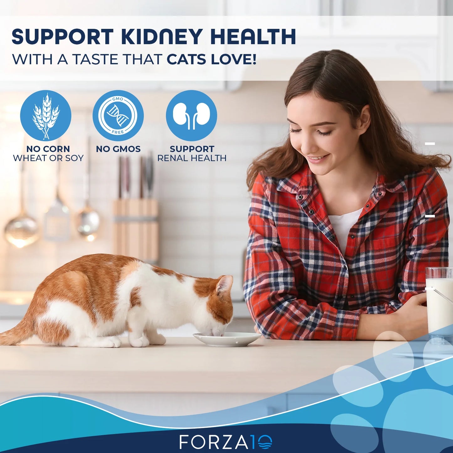 FORZA 10 COMIDA NUTRACÉUTICA PARA EL CUIDADO RENAL EN GATOS