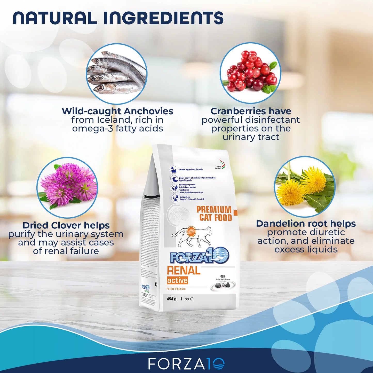 FORZA 10 COMIDA NUTRACÉUTICA PARA EL CUIDADO RENAL EN GATOS