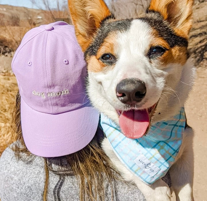 IVORY DOG MOM HAT