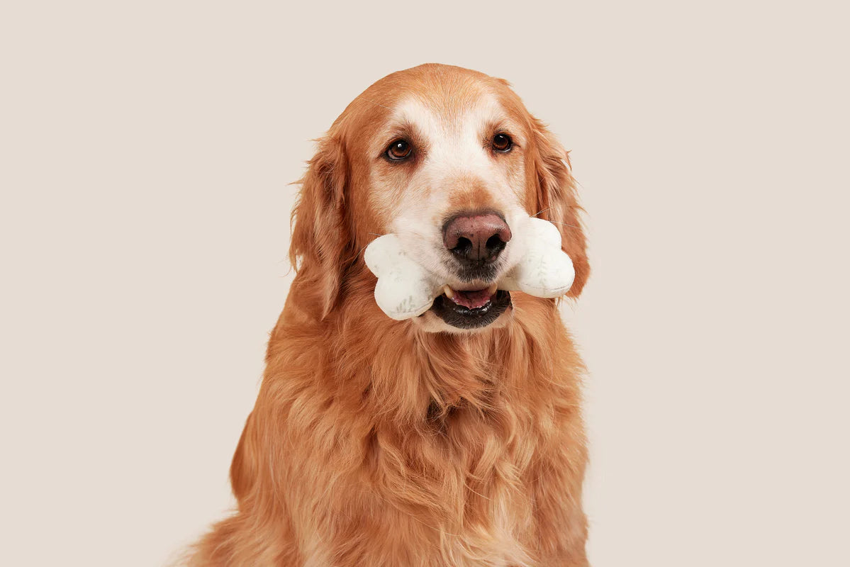REESE + MURPHY GREEN AND IVORY FLORAL BONE SHAPED TOY