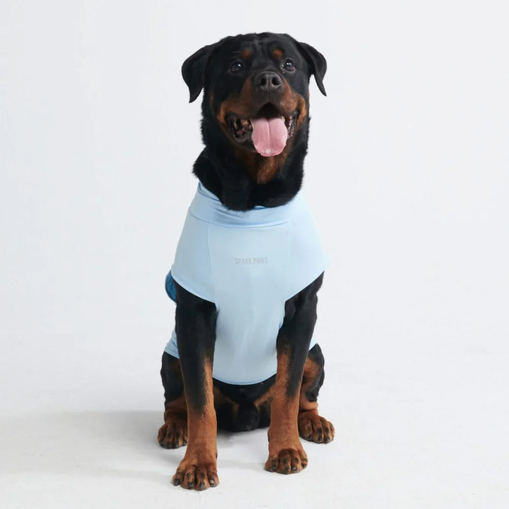 SUNBLOCK DOG T-SHIRT - BLUE