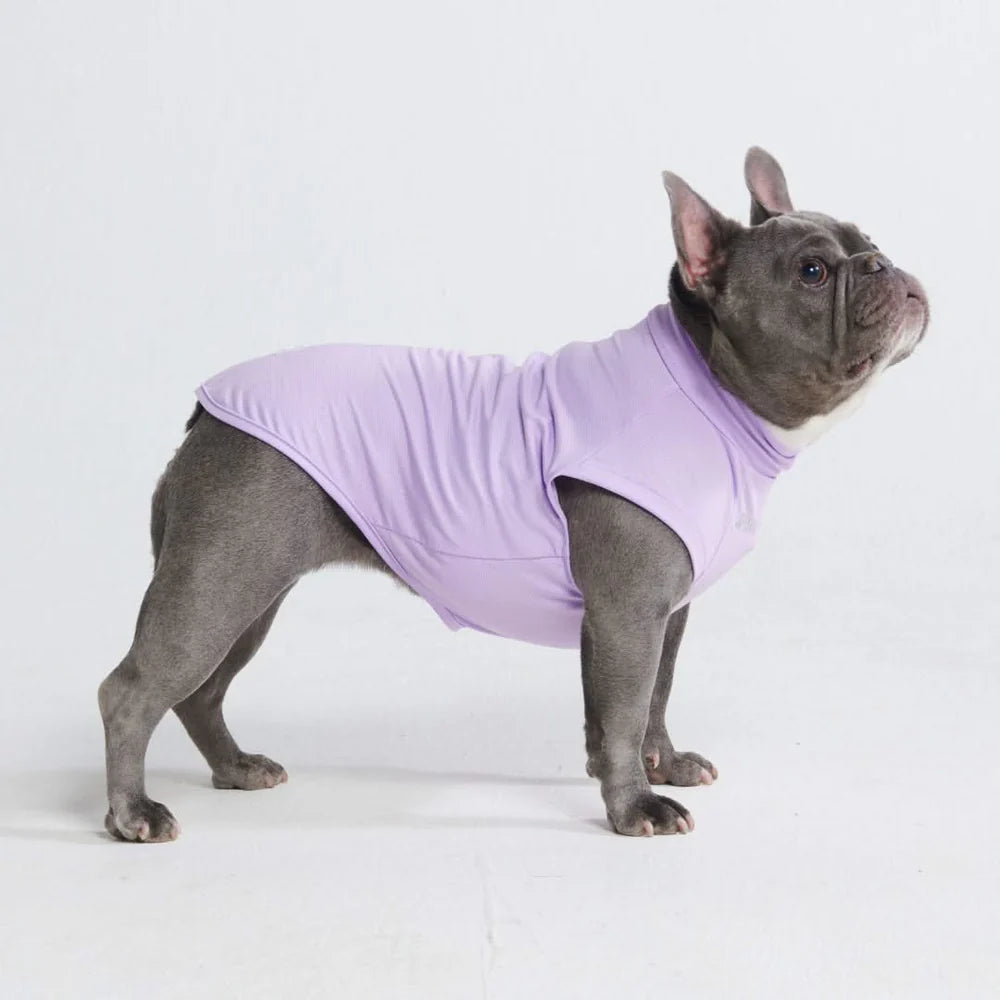 SUNBLOCK DOG T-SHIRT - PURPLE