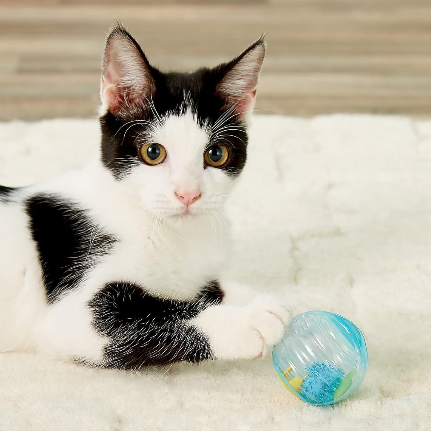 PELOTA PARA GATO