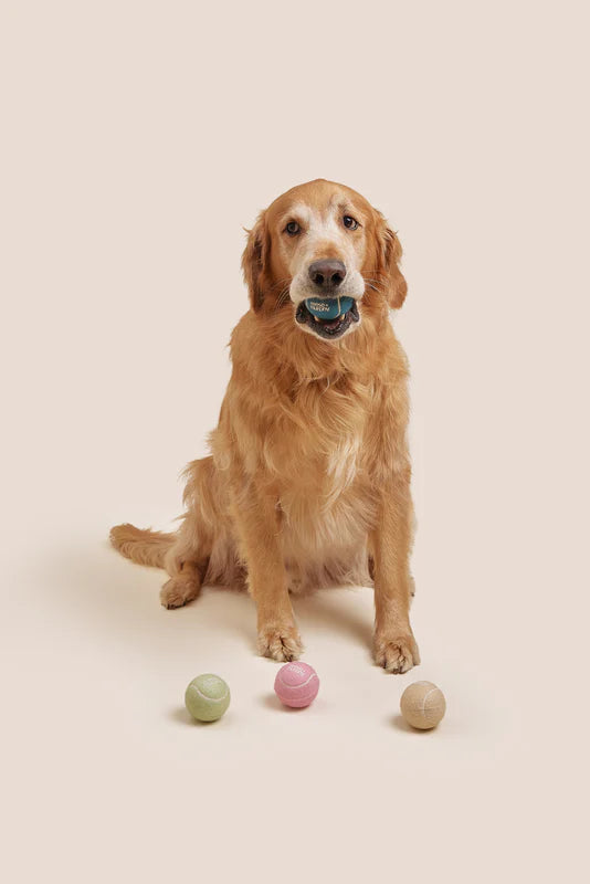 TENNIS BALL