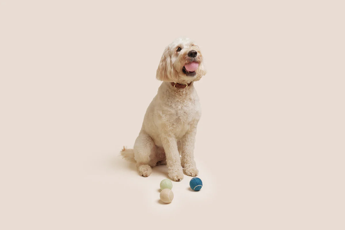 TENNIS BALL