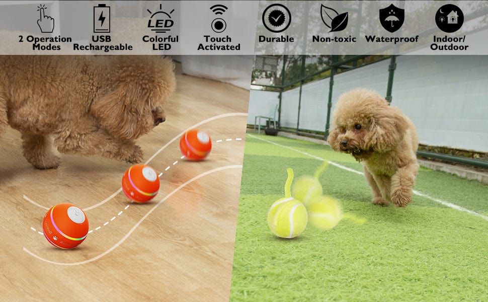 PETDROID MOTION ACTIVATED AUTOMATIC ROLLING BALL