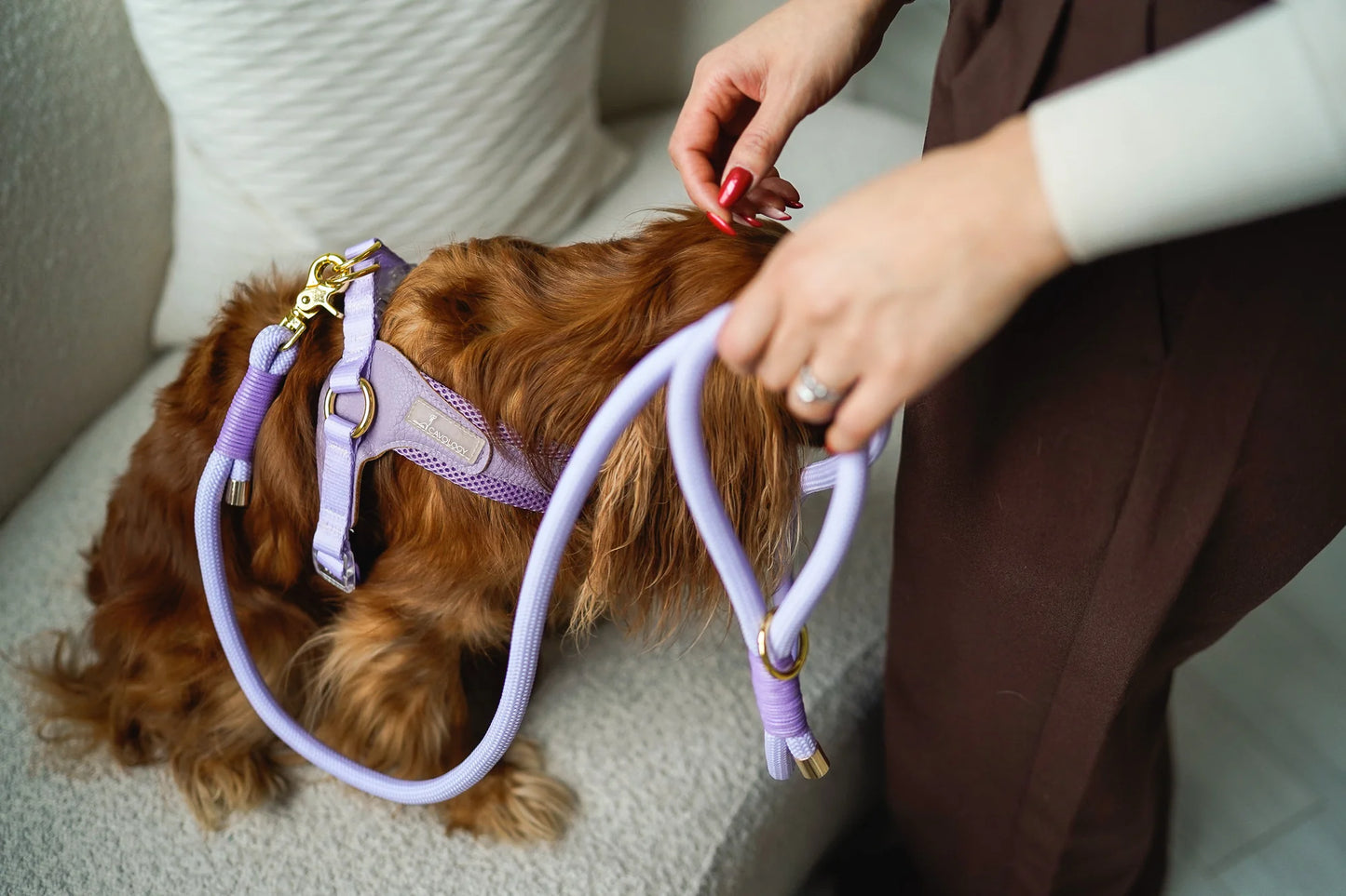 BRAIDED ROPE LEASH LAVENDER