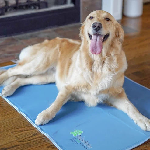 SELF-COOLING GEL PAD