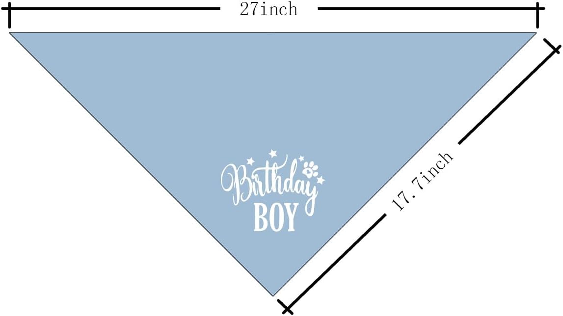 BIRTHDAY BOY BANDANA