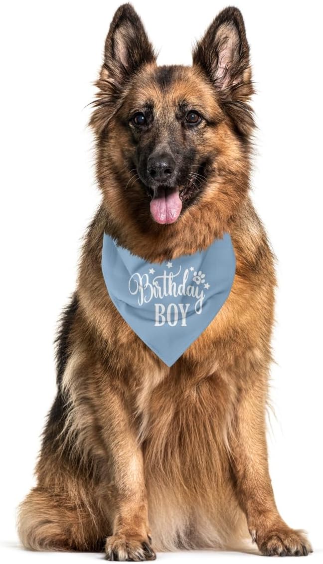 BIRTHDAY BOY BANDANA