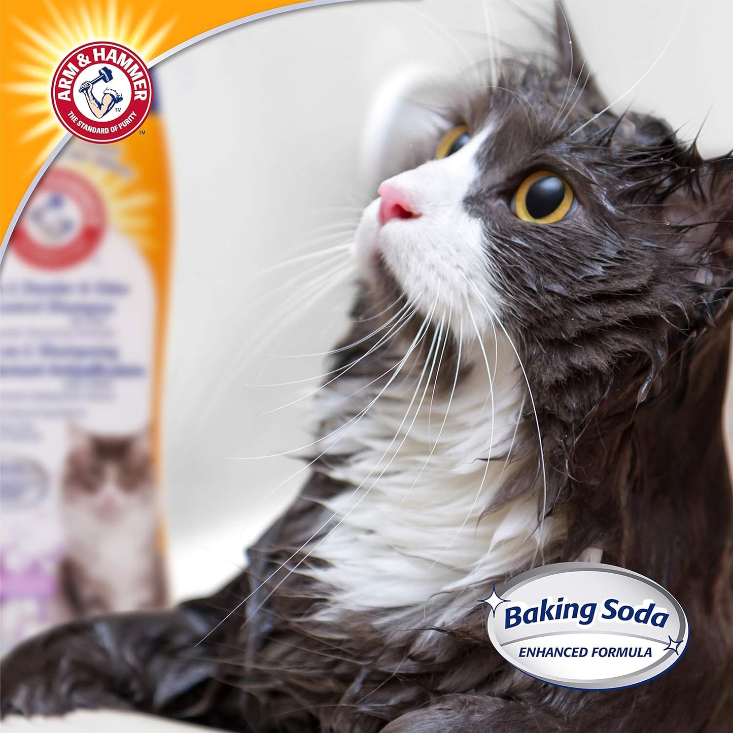 ARM & HAMMER SHAMPOO DESODORANTE Y REDUCTOR DE CASPA 2 EN 1 PARA GATOS DE LAVANDA Y MANZANILLA