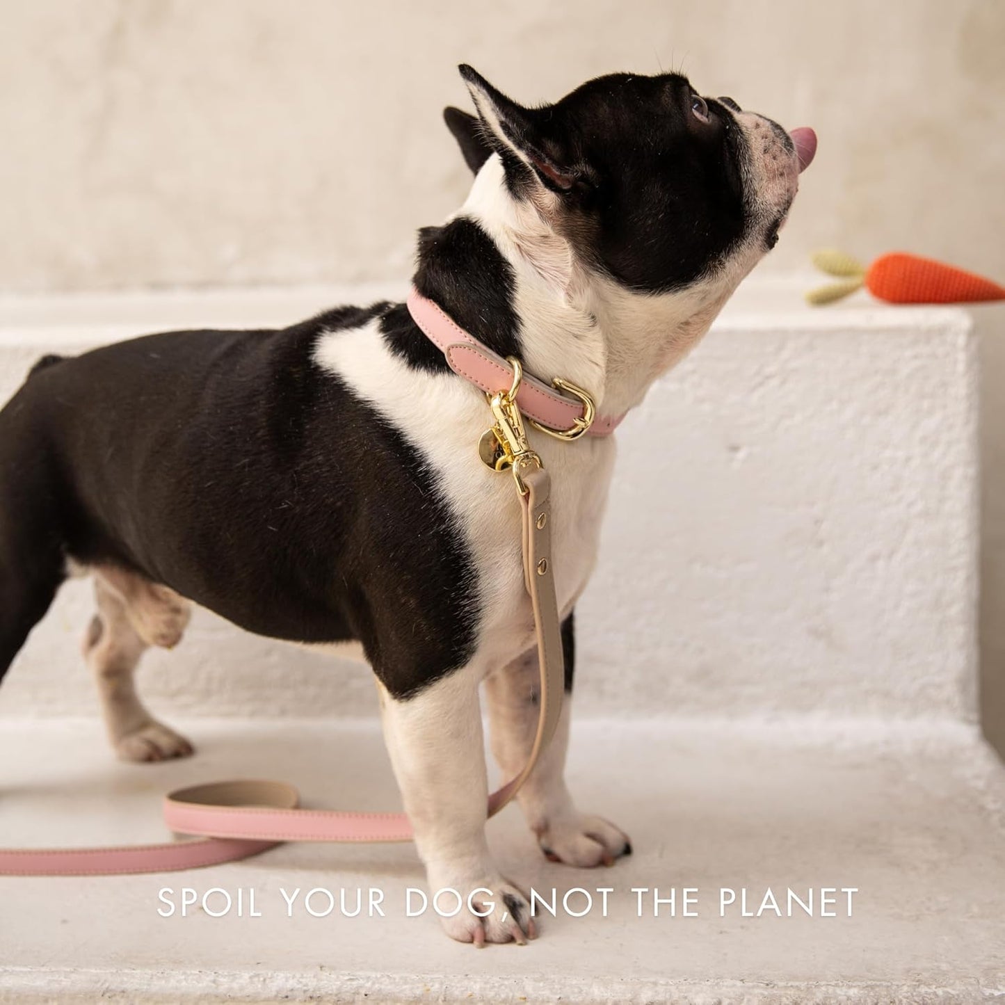 NINA WOOF CUPERTINO LEASH PINK