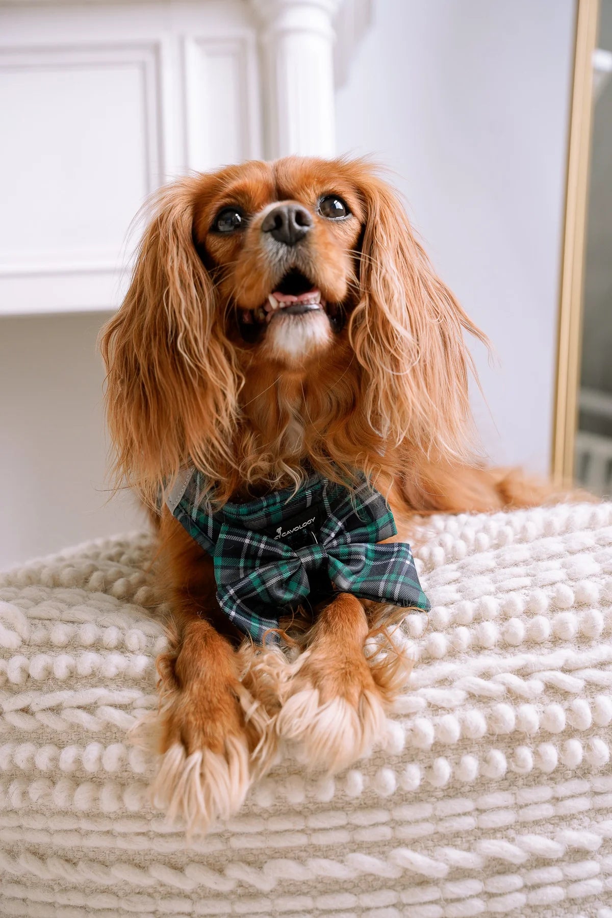 BOW - GREEN PLAID