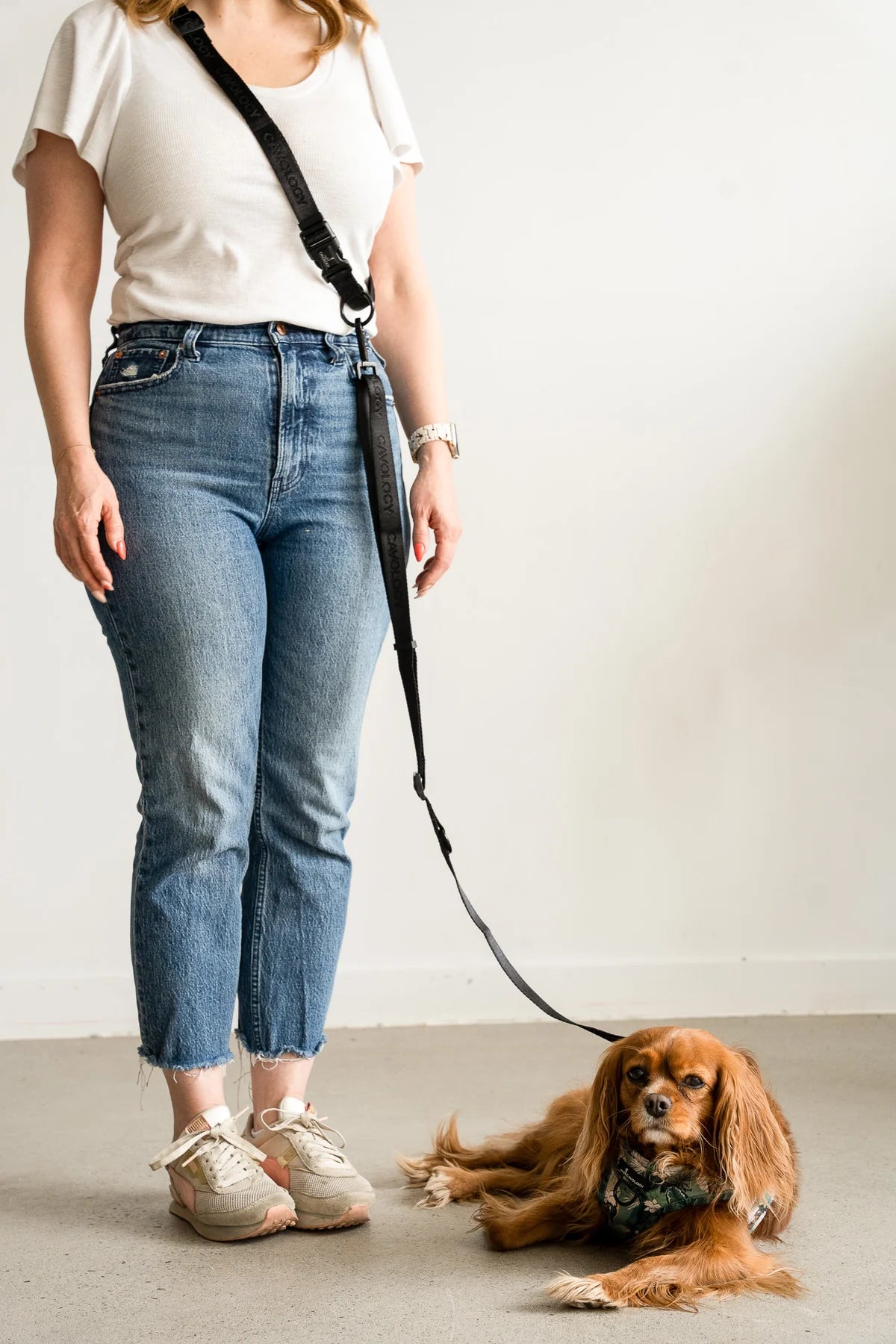 DOG LEASH HANDS FREE MULTIWAY