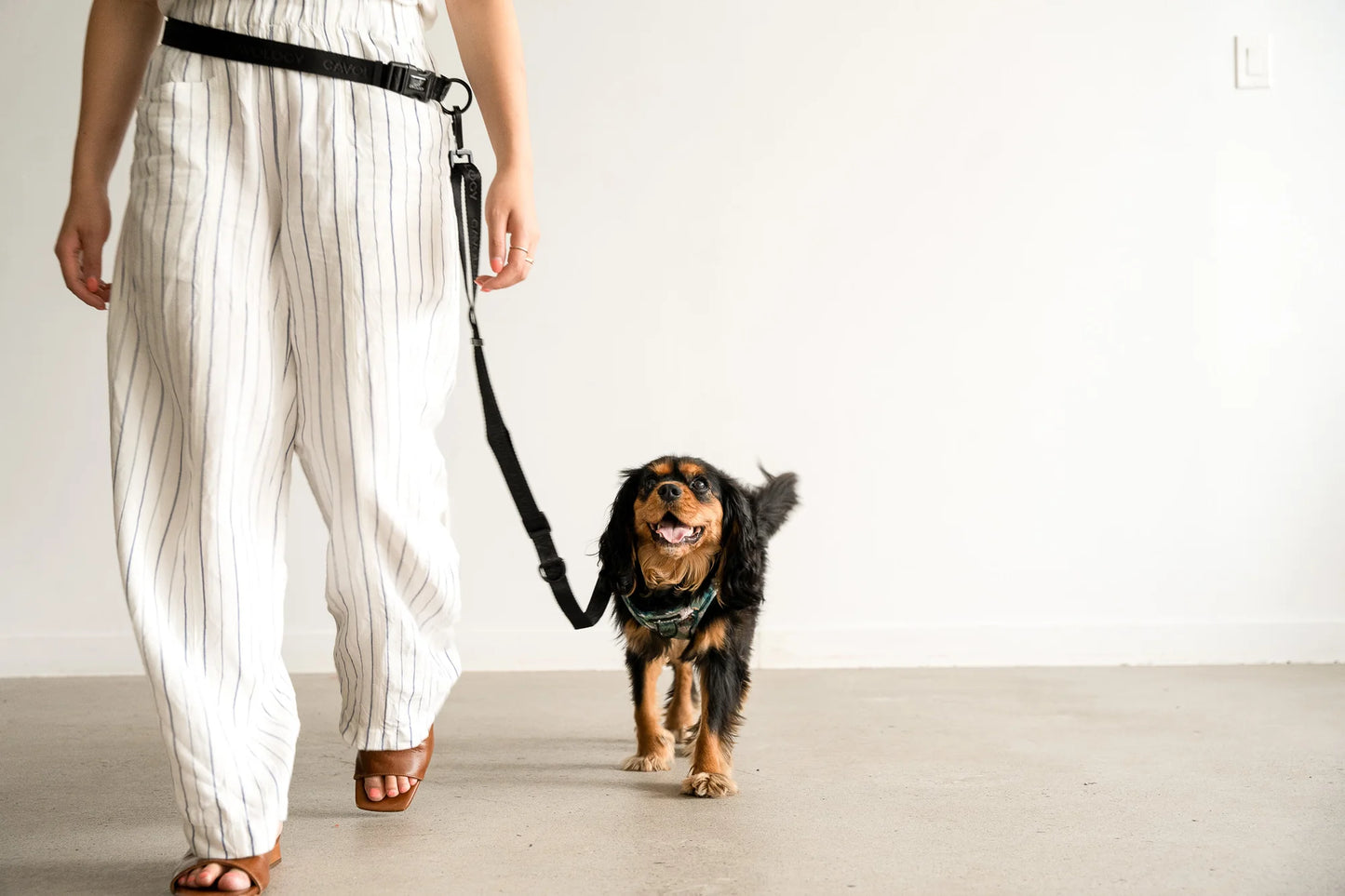 DOG LEASH HANDS FREE MULTIWAY