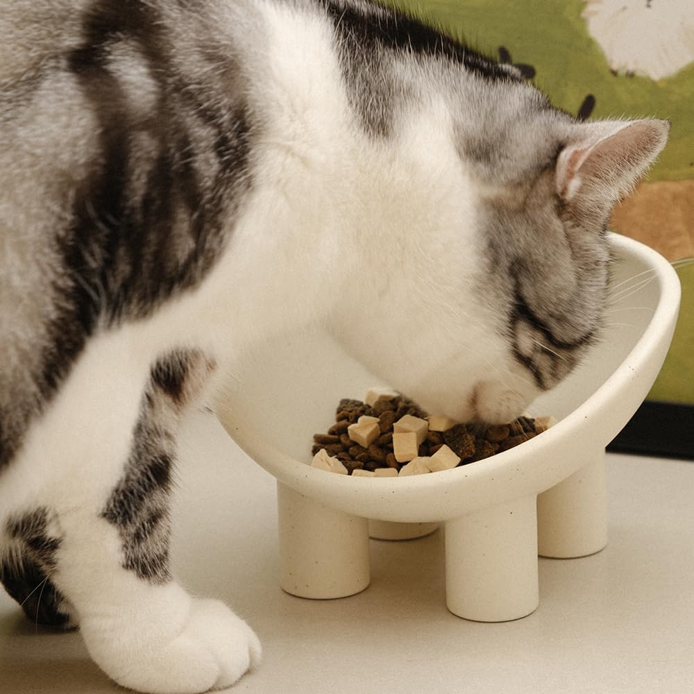 FOUR-LEGS CERAMIC PET BOWL
