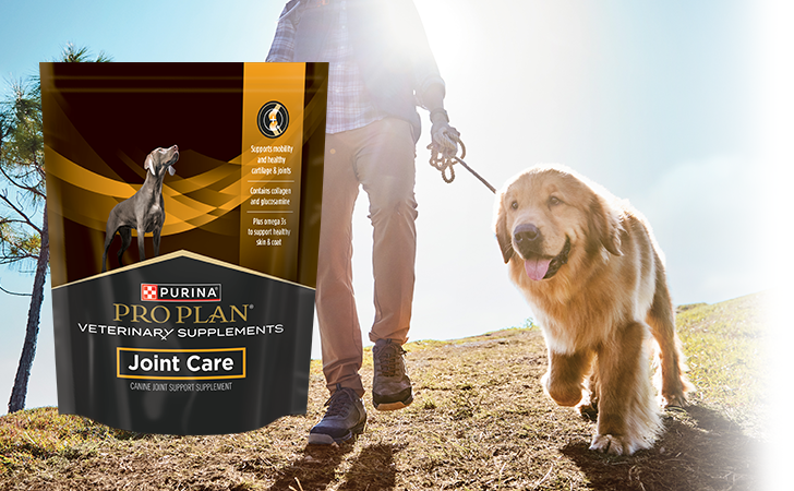 PURINA PRO PLAN VETERINARY JOINT CARE JOINT SUPPLEMENT