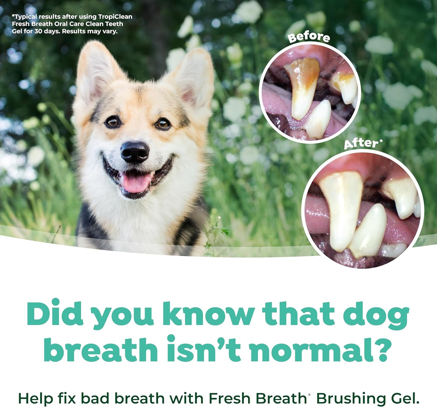 TROPICLEAN FRESH BREATH KIT DE CUIDADO BUCAL PARA PERROS