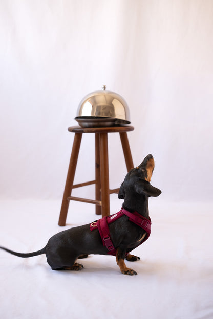 BORDEAUX- COMFORT DOG HARNESS