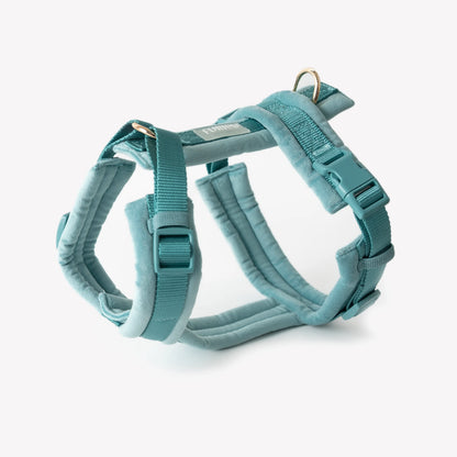 BLUE VELVET DOG HARNESS