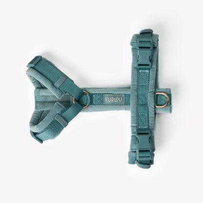 BLUE VELVET DOG HARNESS
