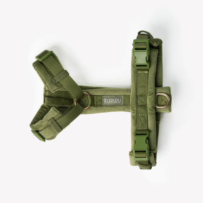 GREEN VELVET DOG HARNESS
