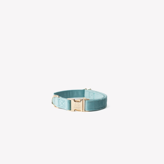 BLUE - VELVET DOG COLLAR