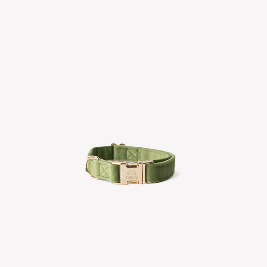 GREEN - VELVET DOG COLLAR