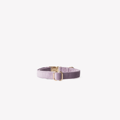 LILAC VELVET COLLAR