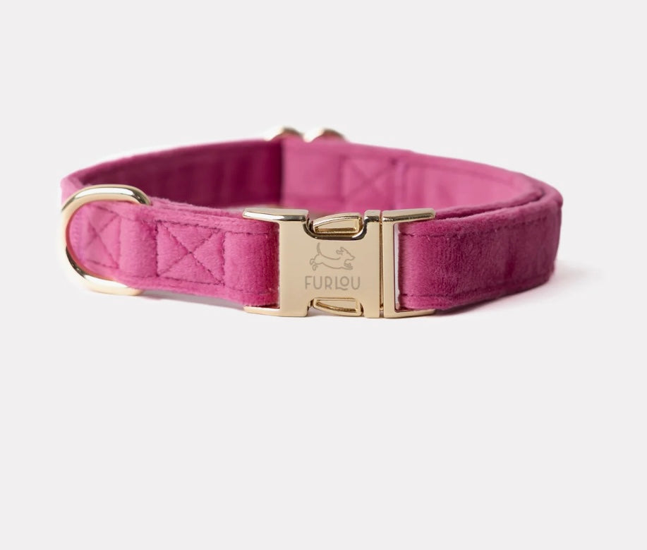 MAGENTA - VELVET DOG COLLAR
