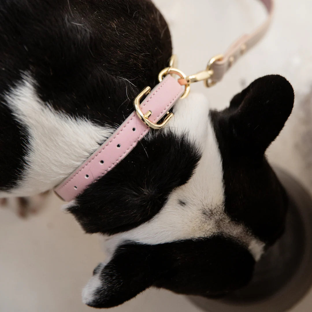 NINA WOOF COLLAR AIR TAG ENABLED VEGAN LEATHER-PINK (USED)