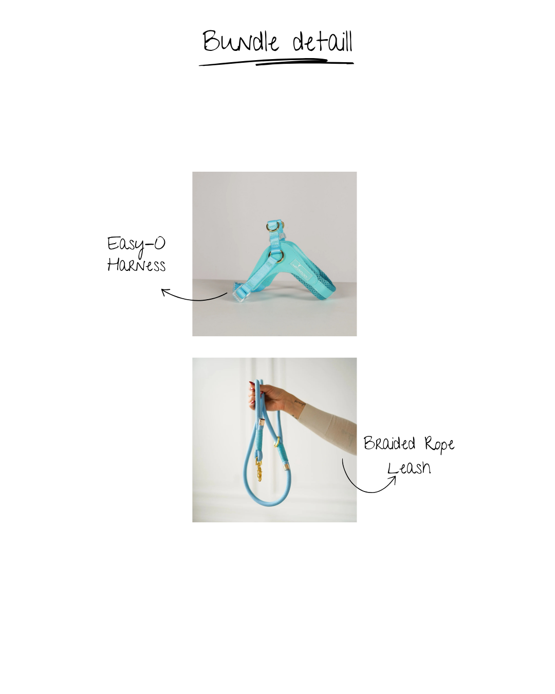 BUNDLE-EASY WALK (TEAL)