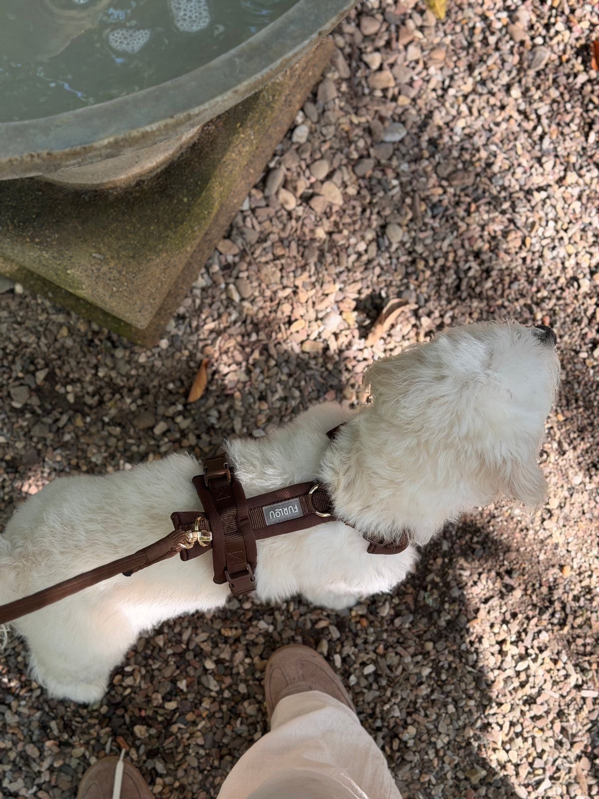 BROWN- COMFORT DOG HARNESS